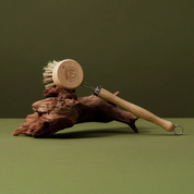 Wooden scrubber with a circular brush head on a piece of wood against a green background