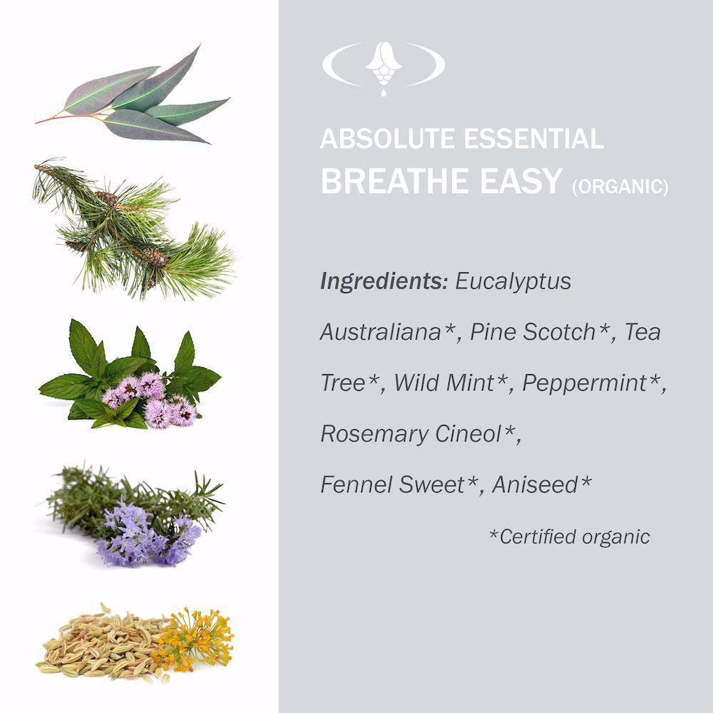 image of Absolute Essential Breathe Easy 10ml ingredients on white background 
