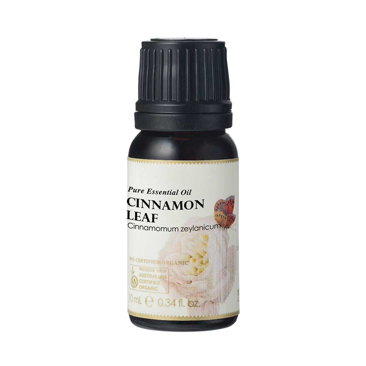 image of Ausganica 100% Certified Organic Essential Oil Cinnamon Leaf 10ml on white background