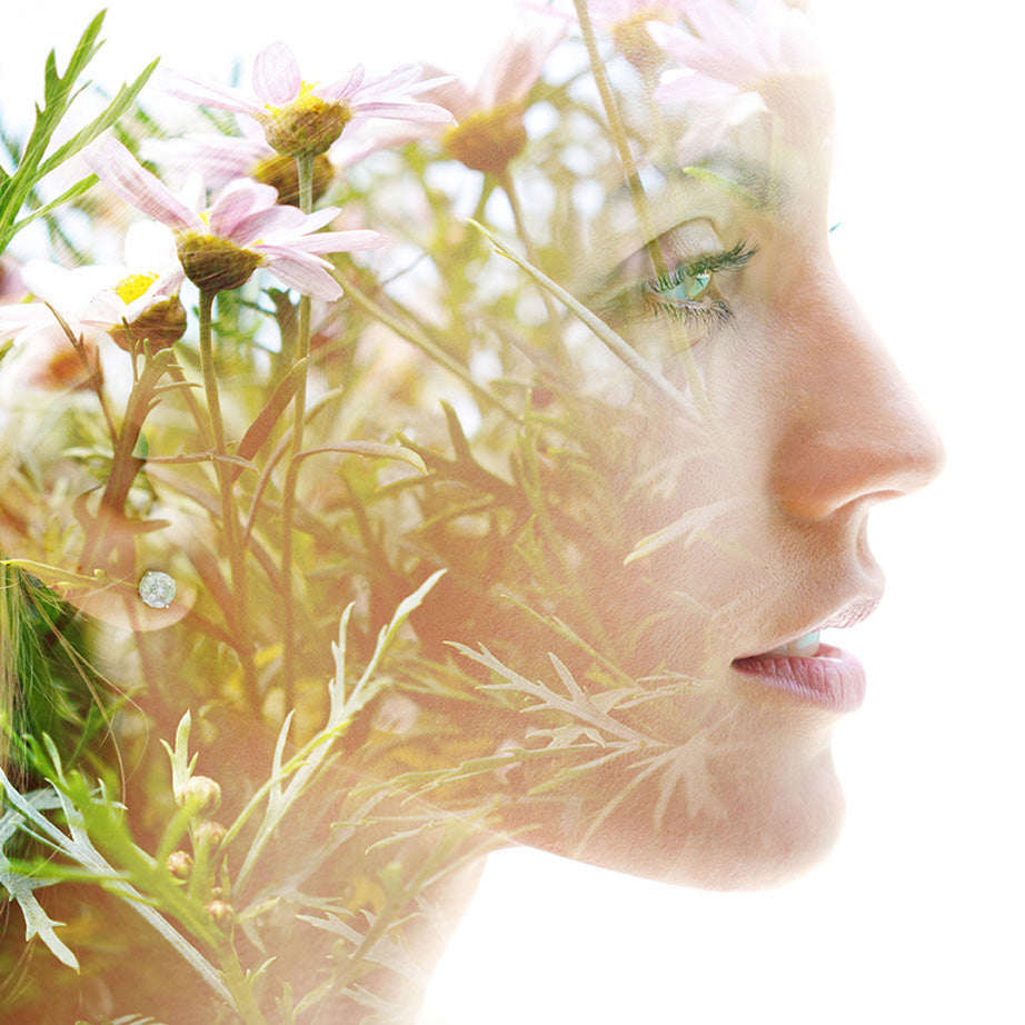 Emotional Wellness Program