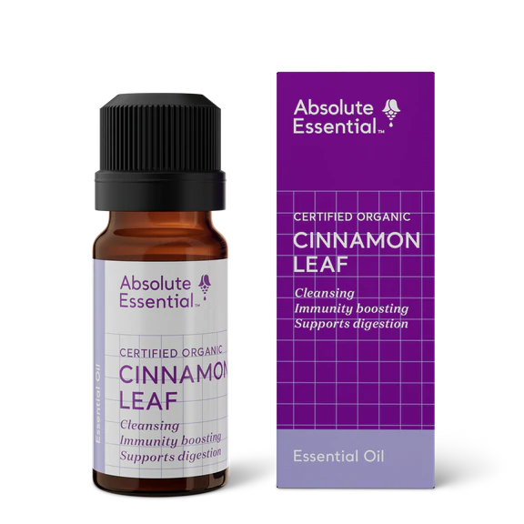 image of Absolute Essential Cinnamon Leaf 10ml on white background 